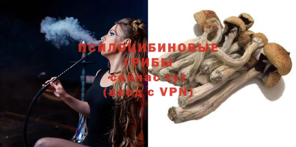прущие грибы Алзамай
