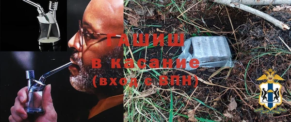 прущие грибы Алзамай