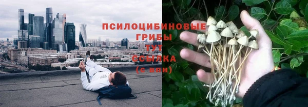 прущие грибы Алзамай